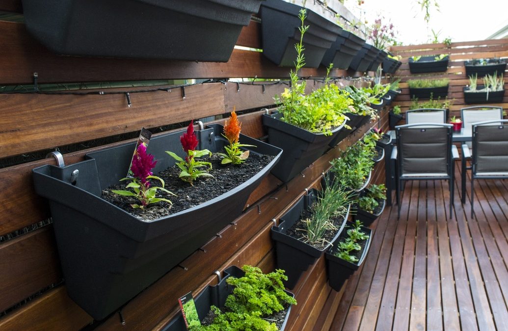 Spotted Gum Screening & Deck, Tusmore