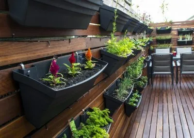 Spotted Gum Screening & Deck, Tusmore