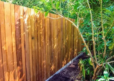 Messmate Screen, Waterfall Gully