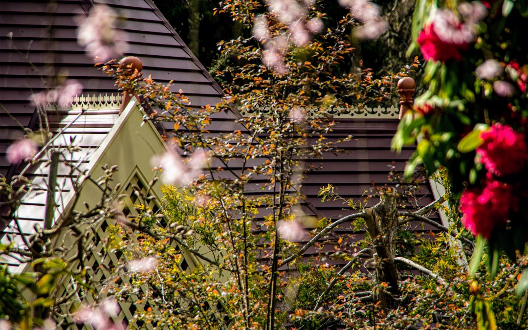 Iron bark Historic Gazebo, Stirling
