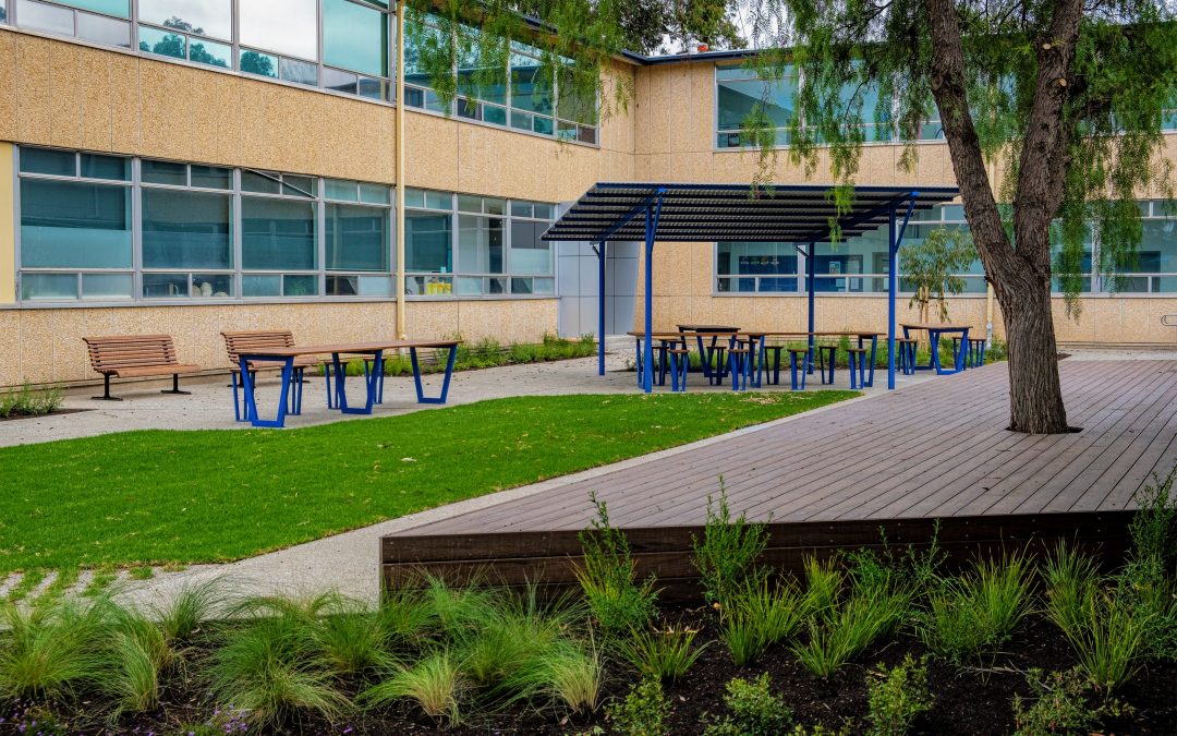 Modwood Deck, Avenues College