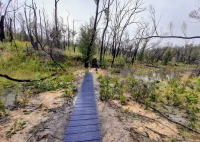 Finished deck overview, Bushland Park Lobethal