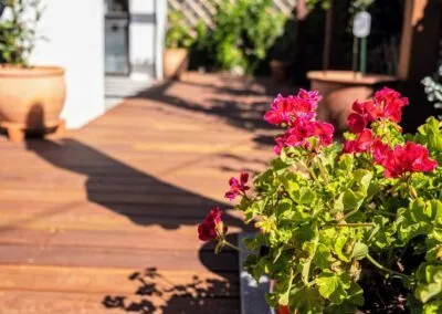 Close-up of decking boards, Beulah Park