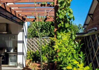 Pergola rafters and beams, Beulah Park