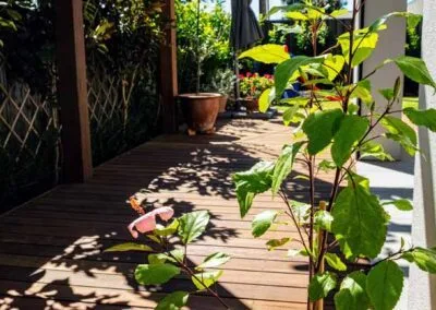 Outdoor entertaining area under new pergola, Beulah Park